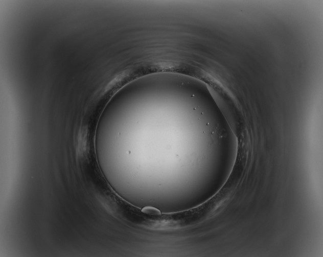 X0000085750212200703231139