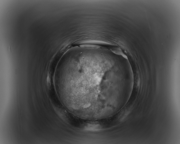 X0000085750214200703231139