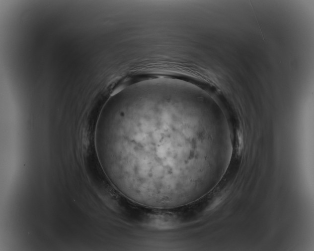 X0000085750215200703231139