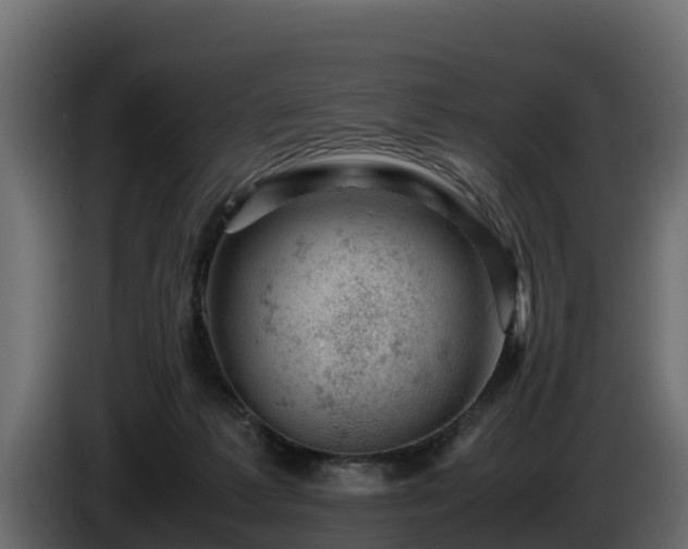X0000085750221200703231139