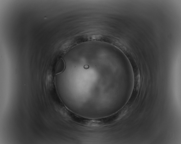 X0000085750222200703231139