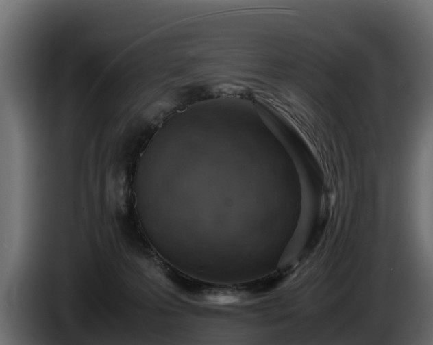 X0000085750223200703231139