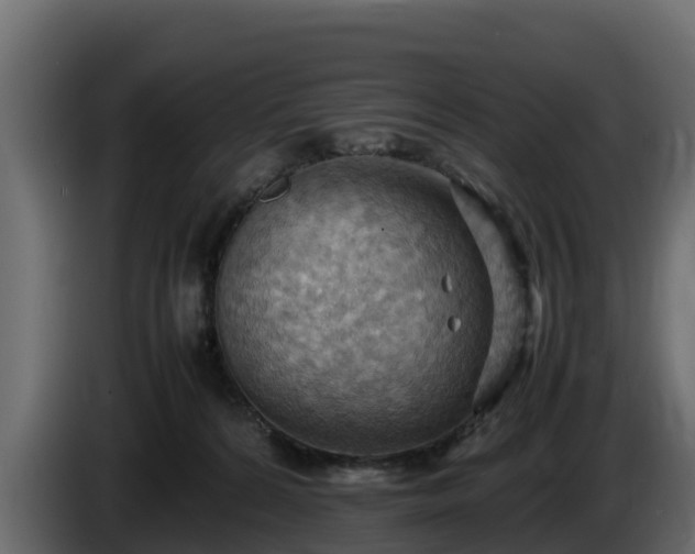 X0000085750224200703231139