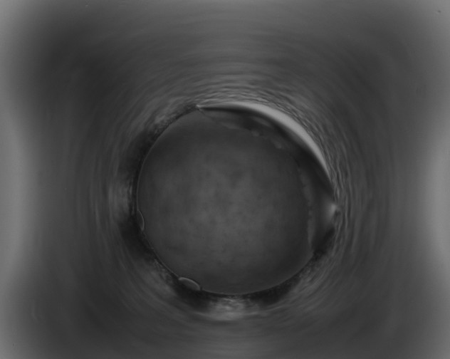 X0000085750227200703231139