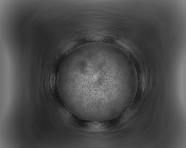 X0000085750230200703231139