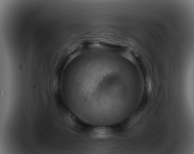 X0000085750231200703231139