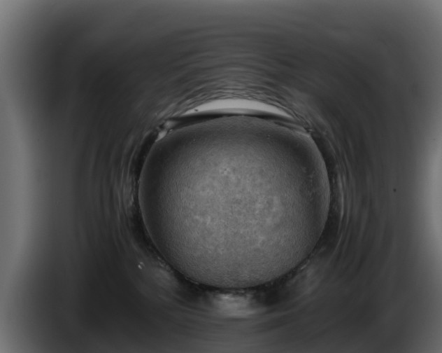 X0000085750232200703231139