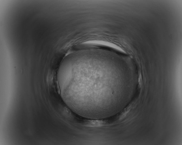 X0000085750233200703231139