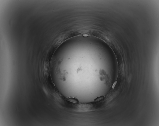 X0000085750234200703231139