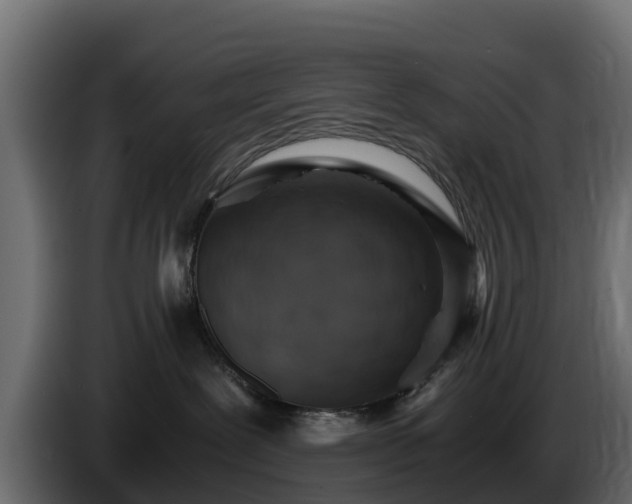 X0000085750239200703231139