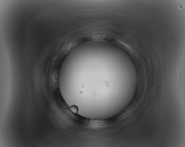 X0000085750240200703231139