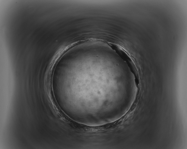 X0000085750241200703231138