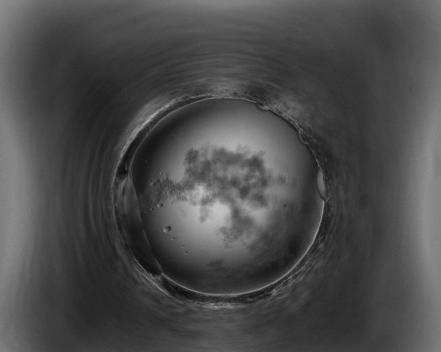 X0000085750242200703231138
