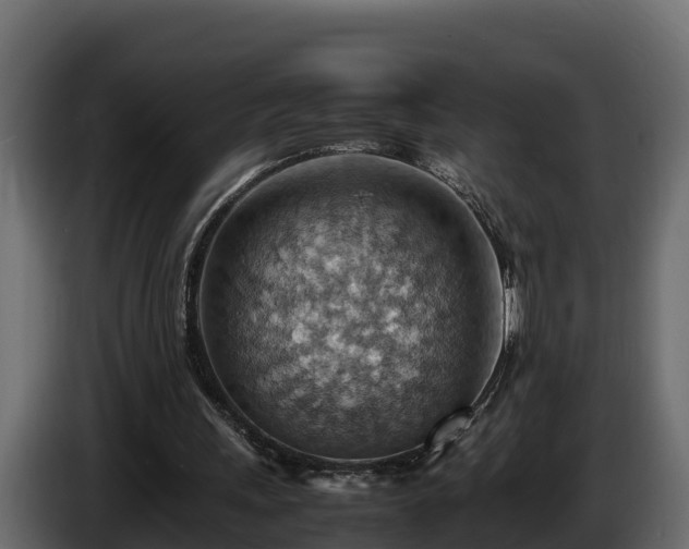 X0000085750243200703231138
