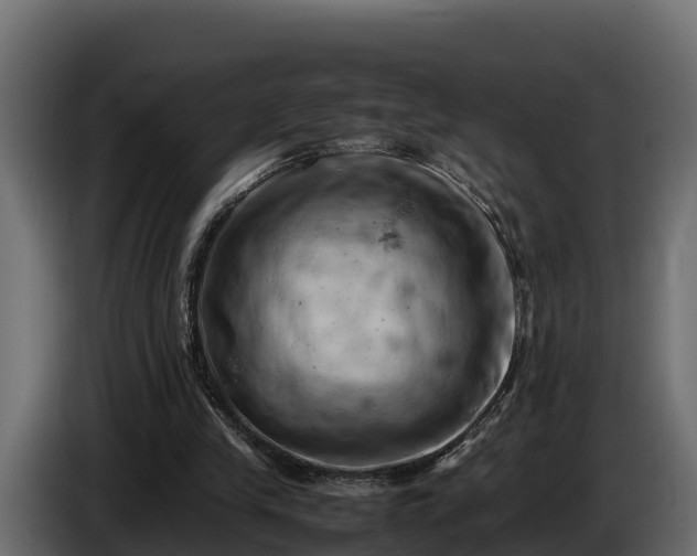 X0000085750245200703231138
