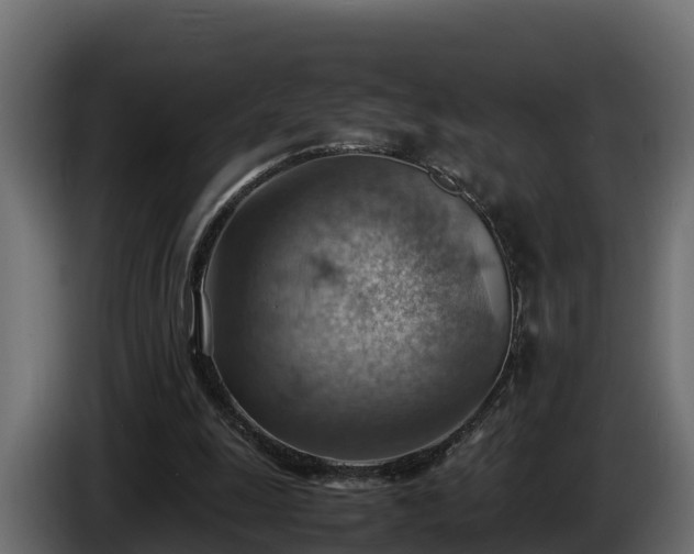 X0000085750247200703231138