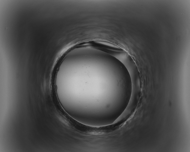 X0000085750248200703231138