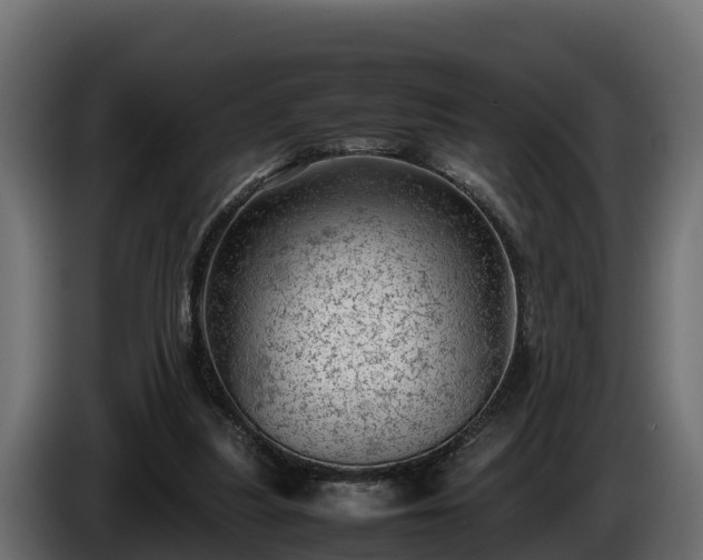 X0000085750251200703231139