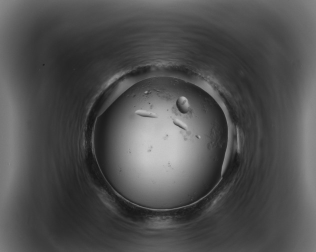 X0000085750252200703231139