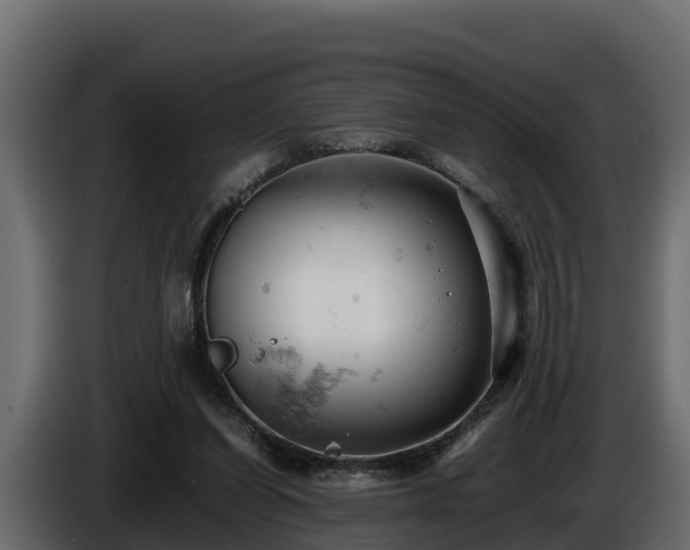 X0000085750254200703231139