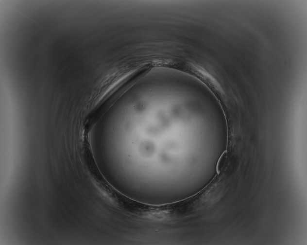 X0000085750257200703231139