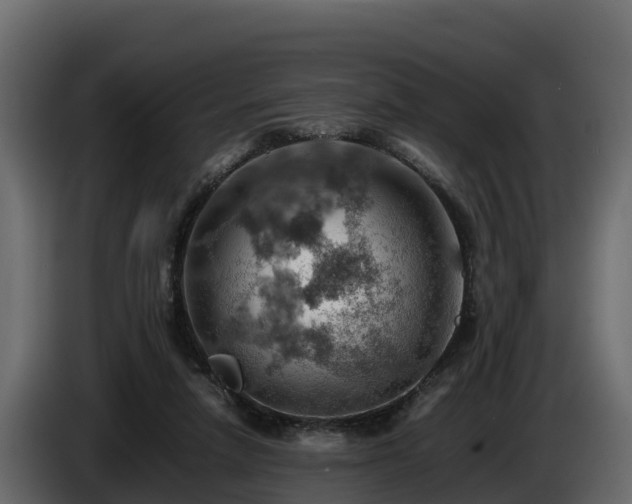 X0000085750258200703231139