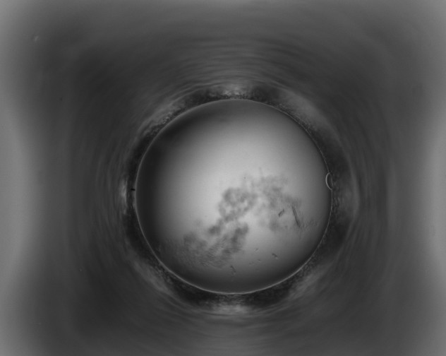 X0000085750262200703231139