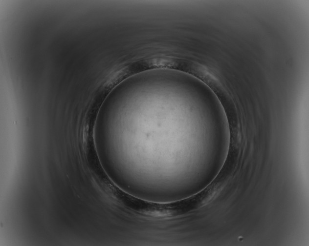 X0000085750263200703231139