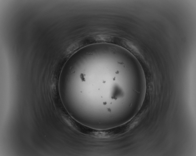 X0000085750265200703231139