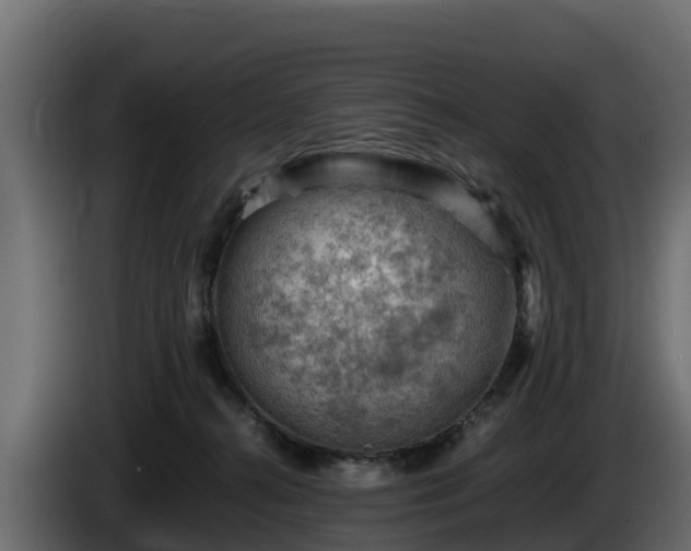 X0000085750272200703231139