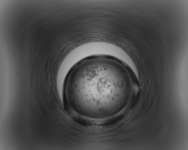 X0000085750276200703231139