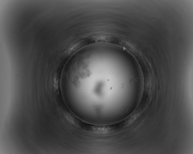 X0000085750282200703231139