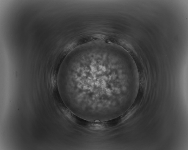 X0000085750285200703231139