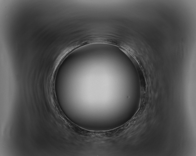 X0000085750289200703231138