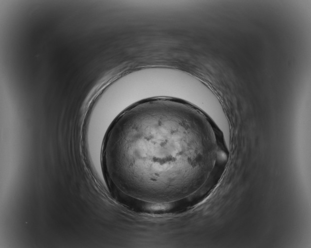 X0000085750293200703231138