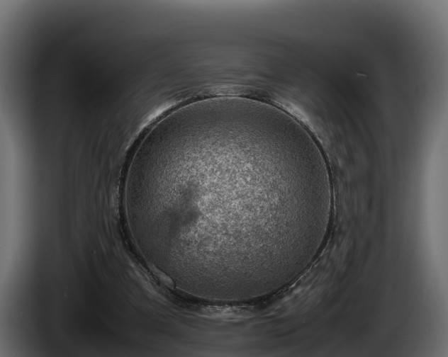 X0000085750297200703231138