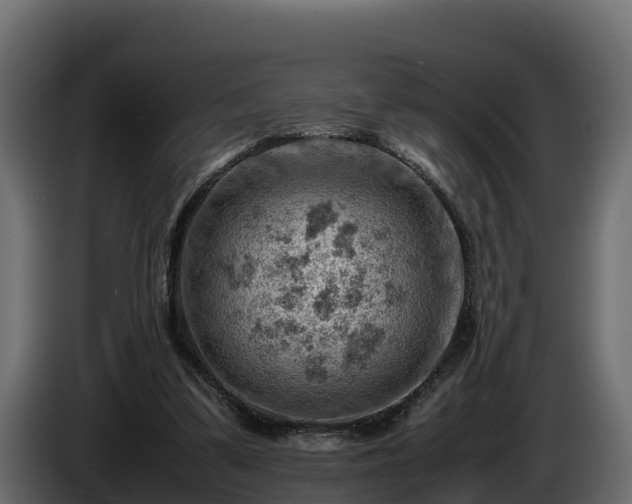 X0000085750299200703231138