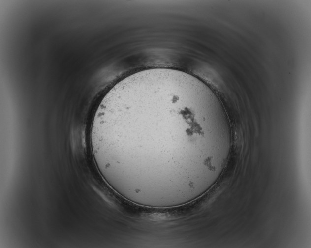 X0000085750302200703231138