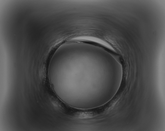 X0000085750303200703231138