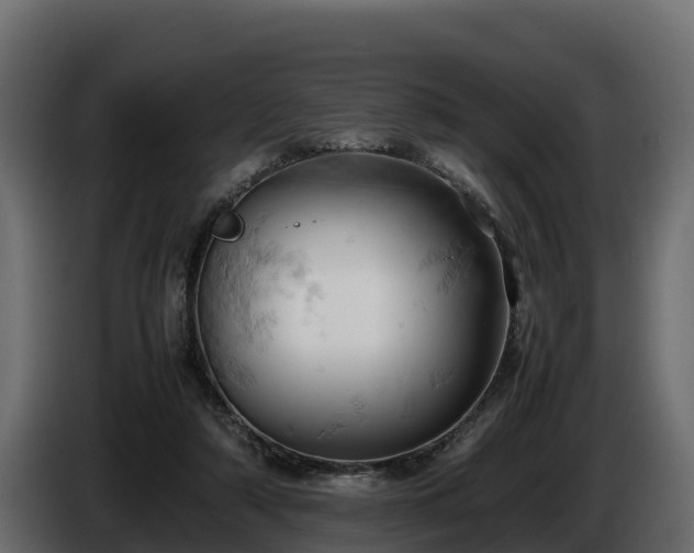 X0000085750306200703231138