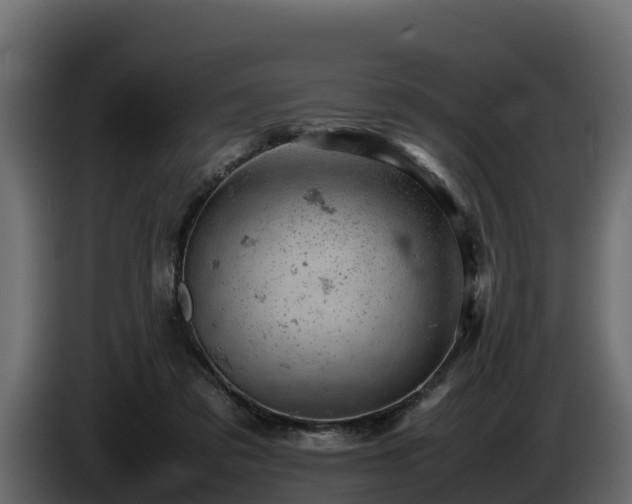 X0000085750309200703231138
