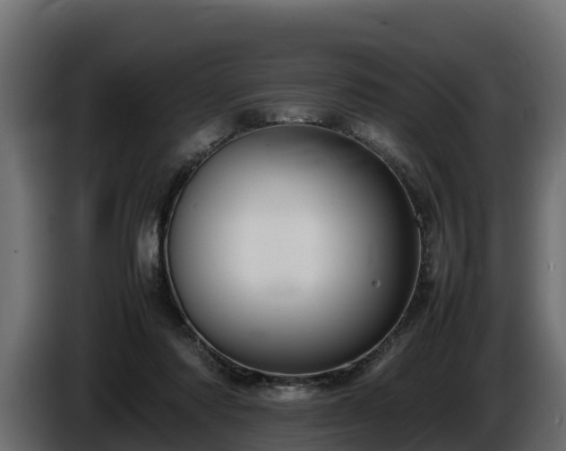 X0000085750310200703231138