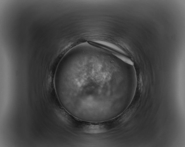 X0000085750314200703231138