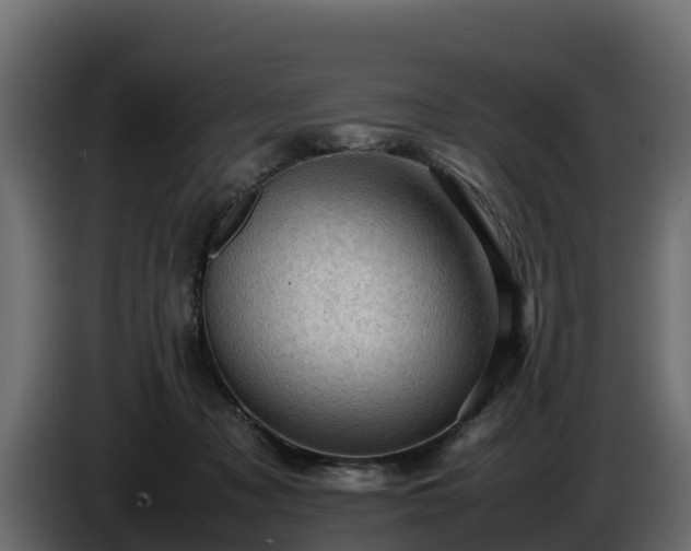 X0000085750317200703231138