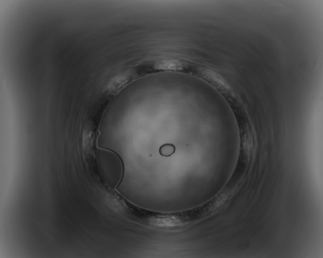 X0000085750322200703231138