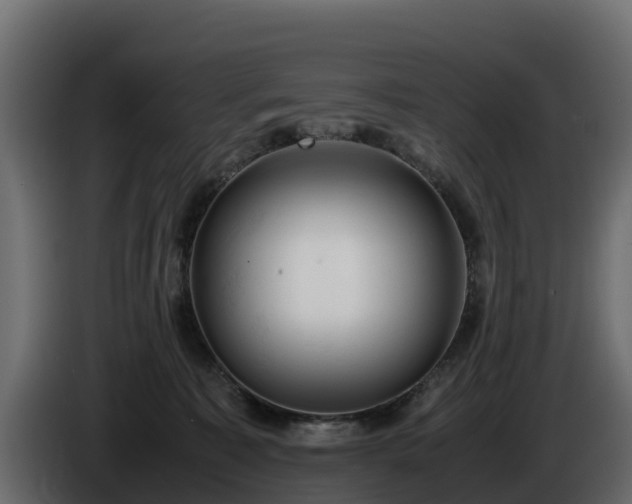 X0000085750323200703231138