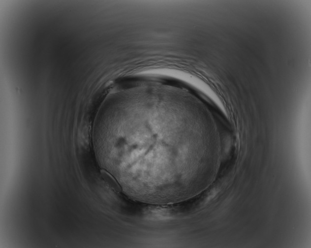 X0000085750325200703231138