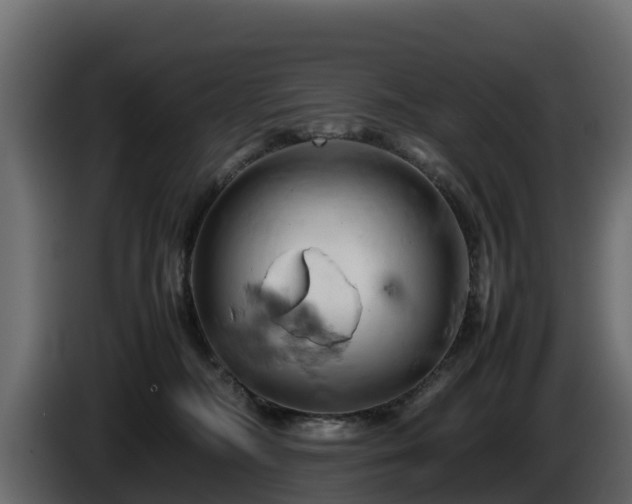 X0000085750326200703231138