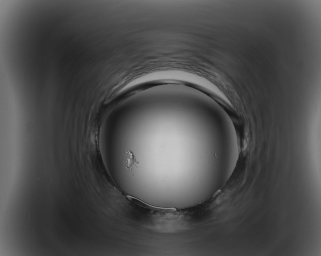 X0000085750329200703231138