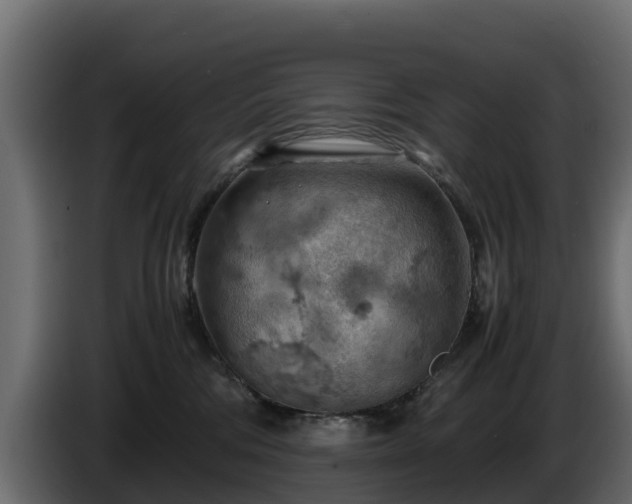X0000085750330200703231138
